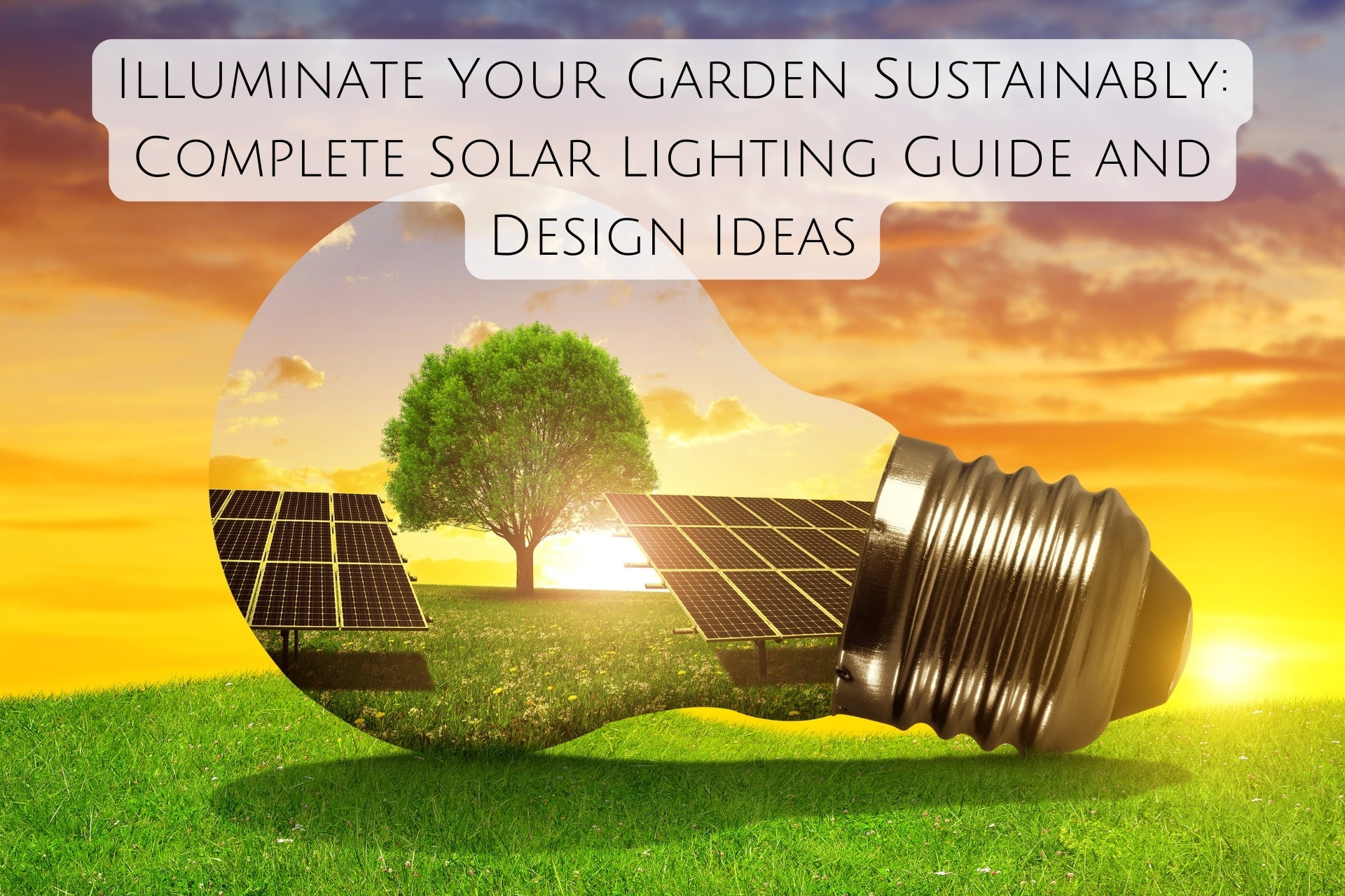 Illuminate Your Garden Sustainably: Complete Solar Lighting Guide and Design Ideas