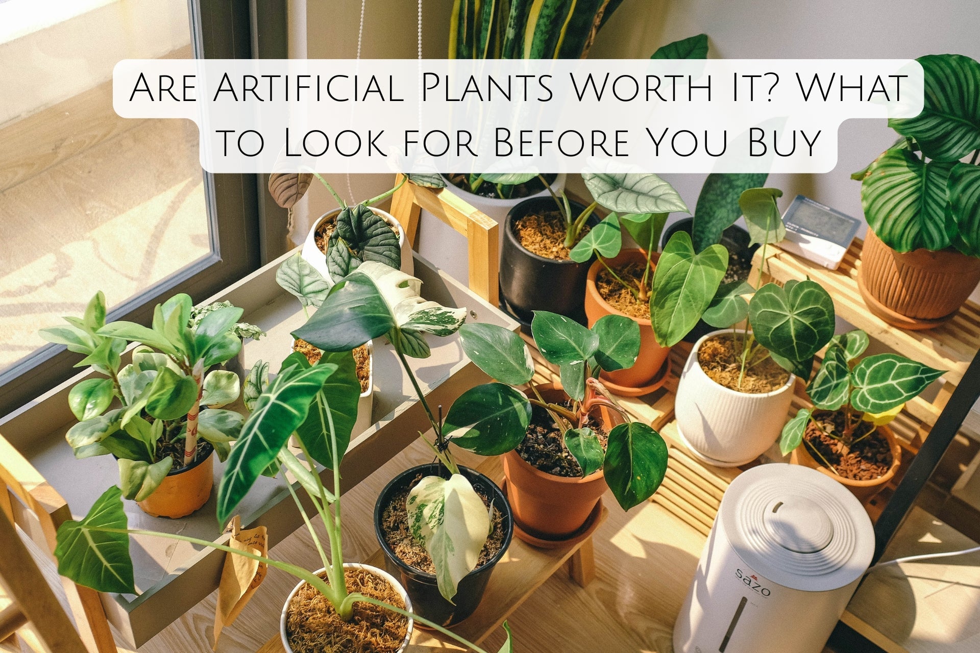 Are Artificial Plants Worth It? What to Look for Before You Buy
