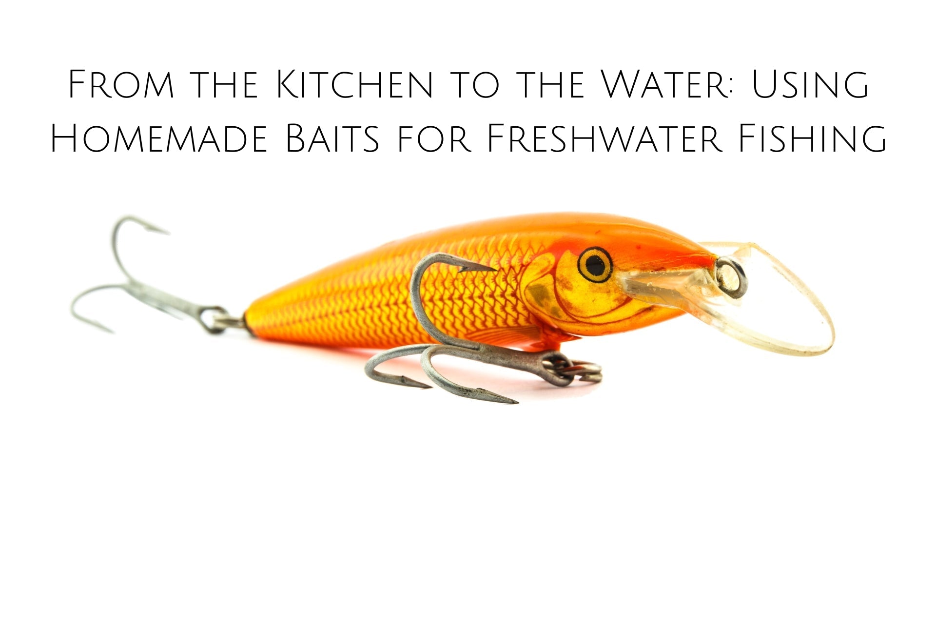 From the Kitchen to the Water: Using Homemade Baits for Freshwater Fishing