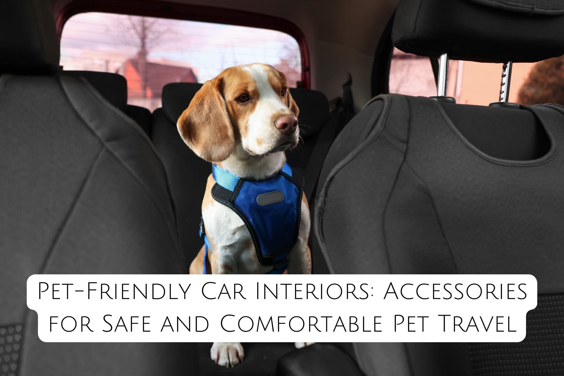Pet-Friendly Car Interiors: Accessories for Safe and Comfortable Pet Travel