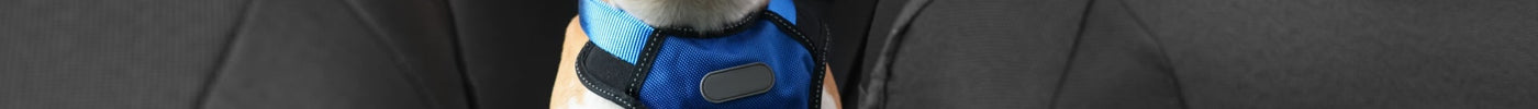 Pet-Friendly Car Interiors: Accessories for Safe and Comfortable Pet Travel