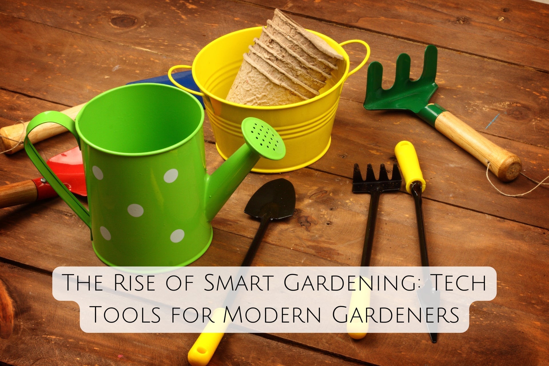 The Rise of Smart Gardening: Tech Tools for Modern Gardeners
