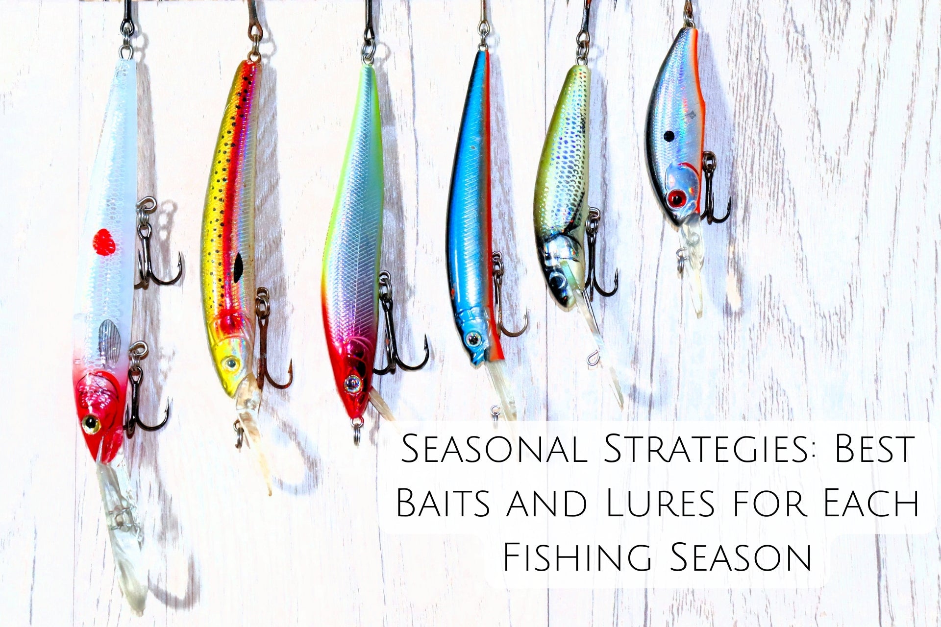 Seasonal Strategies: Best Baits and Lures for Each Fishing Season