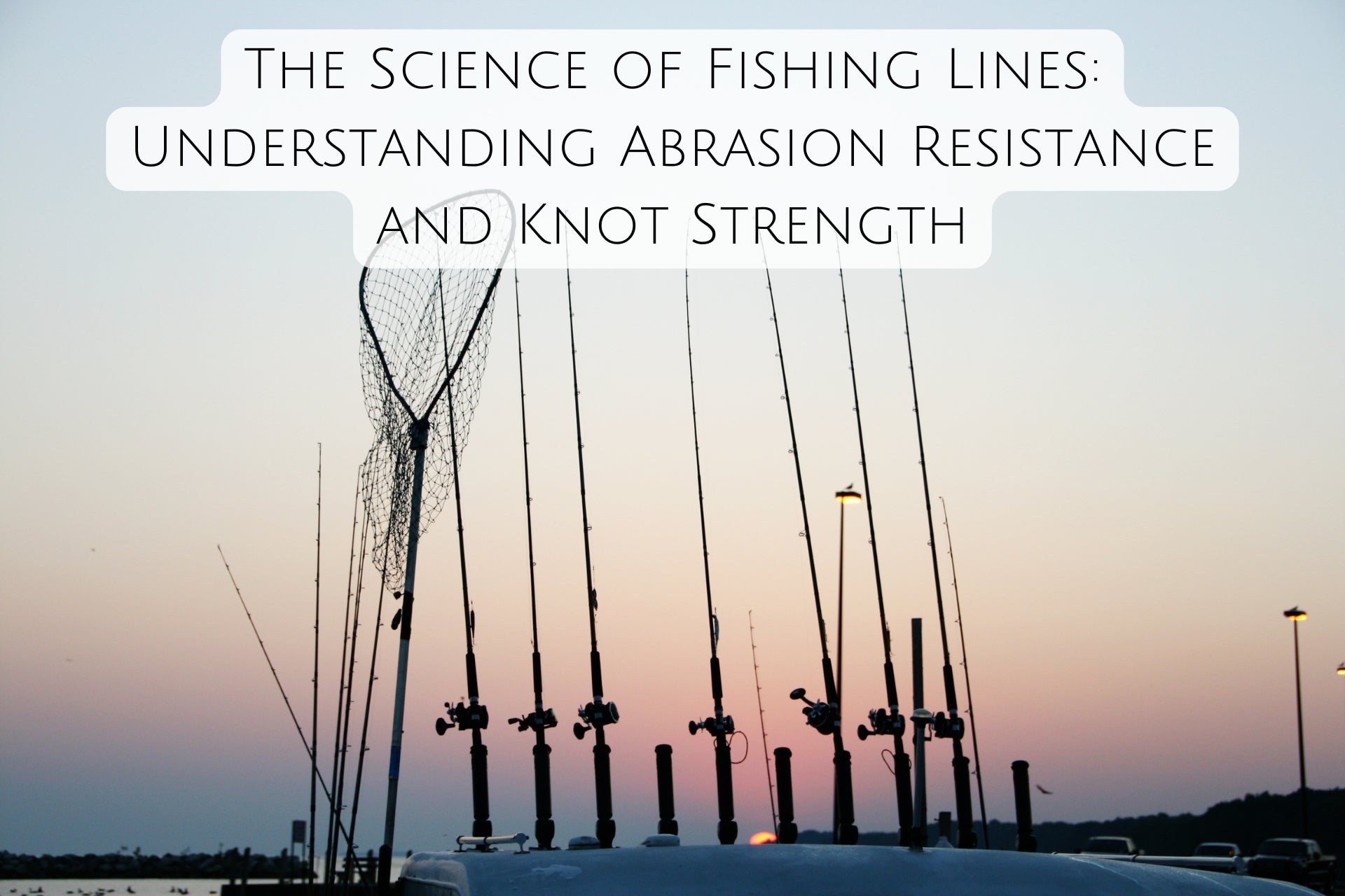 The Science of Fishing Lines: Understanding Abrasion Resistance and Knot Strength