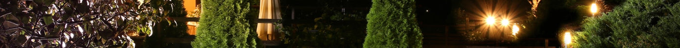 Smart Outdoor Lighting: How to Automate Your Garden Illumination