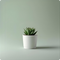 Artificial Plants & Flowers