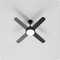 Lighting & Ceiling Fans