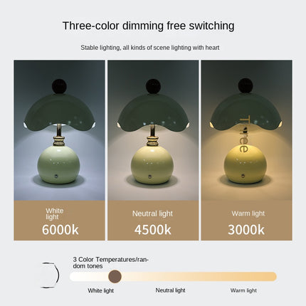 Shell-shaped Table Lamp for Bedroom, Luxury Minimalist Bedside Light, Wedding Gift, Night Light