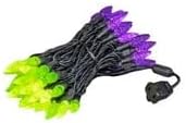 Novelty Lights 70 Light C6 True Twinkle LED Christmas Mini Light Set, Commercial Grade Outdoor String Lights, Purple/Lime Green, Green Wire, 24 Feet