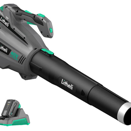 Litheli Cordless Leaf Blower 40V, Battery Leaf Blowers for Lawn Care, with Brushless Motor, Axial Blower for Blowing Leaf, Dust, Snow, Debris, with 2.5Ah Battery & Charger Included, Black