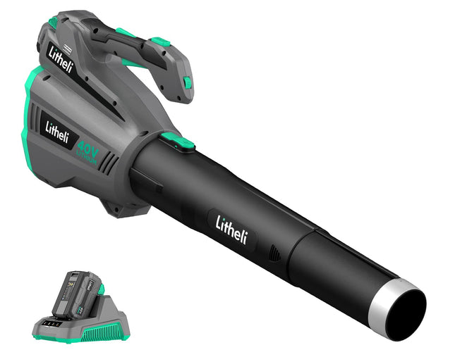 Litheli Cordless Leaf Blower 40V, Battery Leaf Blowers for Lawn Care, with Brushless Motor, Axial Blower for Blowing Leaf, Dust, Snow, Debris, with 2.5Ah Battery & Charger Included, Black