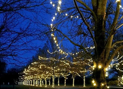 Novelty Lights 50 Light LED Christmas Mini Light Set, Outdoor Lighting Party Patio String Lights, Warm White, Brown Wire, 25 Feet