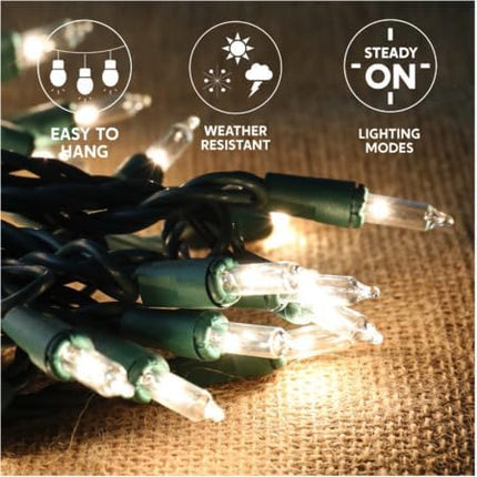 Joiedomi Clear Christmas Lights Outdoor,150 Count Christmas Tree Lights,31.2FT Warm White String Lights with Green Wire,Xmas Decorations for Indoor Party House Garden Yard Home