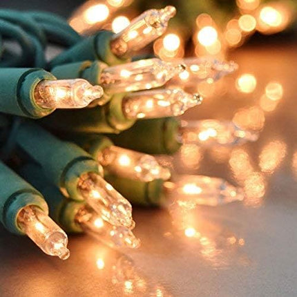 Holiday Essence Clear Christmas Lights Green Wire, 100 Incandescent Mini String Lights Set for Indoor Outdoor Holiday Lighting Decoration, Christmas Tree Lights, Static Flashing UL