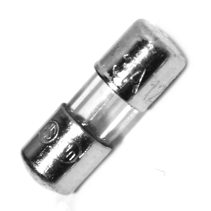 20 Christmas Mini Light Strings Replacement Glass Fuses 3A 3 Amp 110V 125V (20pcs) - size is 3.6 x 10 mm/ 0.14 x 0.39 Inch