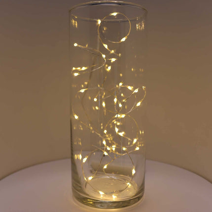 Warm White Fairy Lights Battery Operated with Timer Mode, 40 Micro LED Fairy Lights for Mason Jars, 6.5ft, Silver Wire Lights Indoor Use (Warm White)