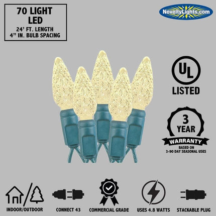 Novelty Lights 70 Light C6 True Twinkle LED Christmas Mini Light Set, Commercial Grade Outdoor String Lights, Purple/Lime Green, Green Wire, 24 Feet