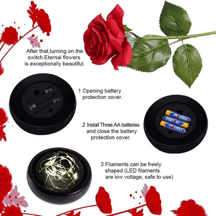 Enchanted Red Silk Rose,Beauty and the Beast Rose with Fallen Petals in A Light Dome,Home/Office or Home Decorations, Anniversary, Valentine's Day Christmas