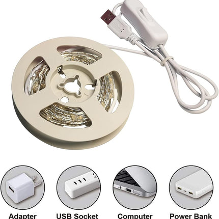 RUICHEN Silver Wire 33 Ft 100 LED USB Fairy String Lights with On/Off Switch (Green)