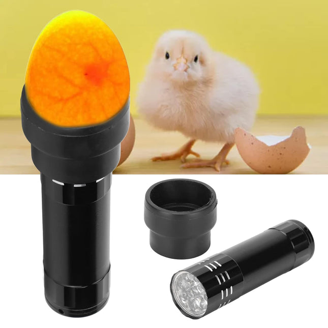 Egg Tester, Egg Candler Durable Cool Light with Lanyard for Chickens