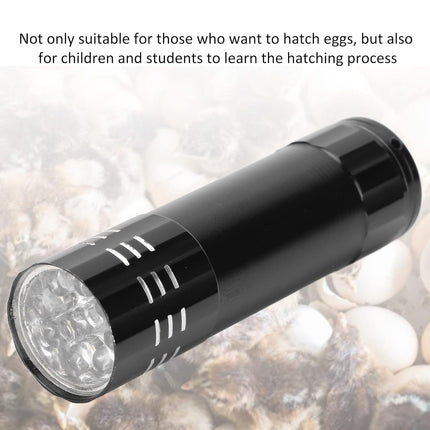 Egg Tester, Egg Candler Durable Cool Light with Lanyard for Chickens