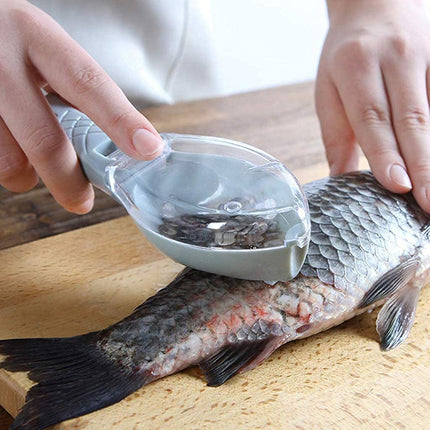 MOXYAM Fast Remove Fish Skin Brush Plastic Fish Scales Graters Scraper Easy Kitchen Cleaning Tool (Multicolor)