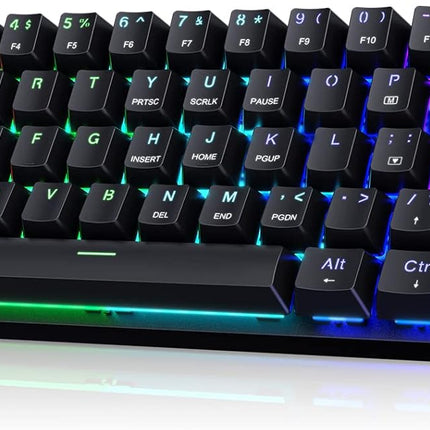 Portable 60% Mechanical Gaming Keyboard, Wired Keyboard with Blue Switches,LED Customization Backlit,61 Keys Ultra-Compact Mini Office Keyboard for PC/Mac/Xbox,Easy to Carry On Trip