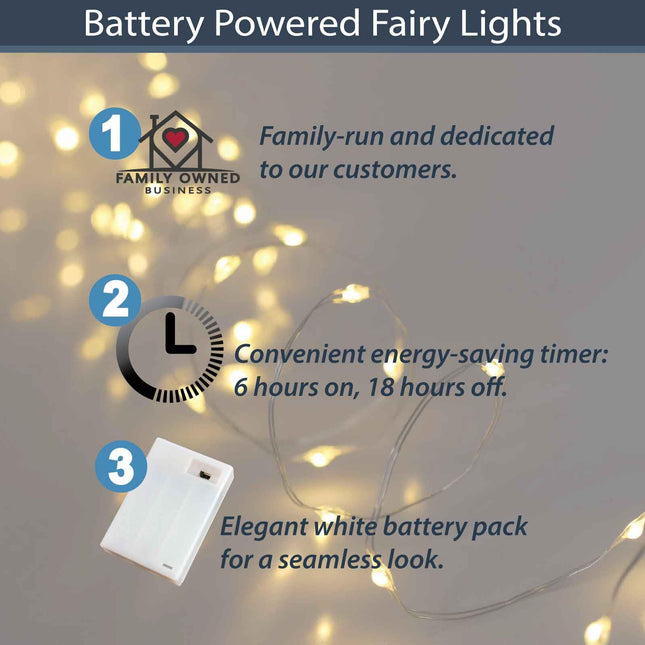 Warm White Fairy Lights Battery Operated with Timer Mode, 40 Micro LED Fairy Lights for Mason Jars, 6.5ft, Silver Wire Lights Indoor Use (Warm White)