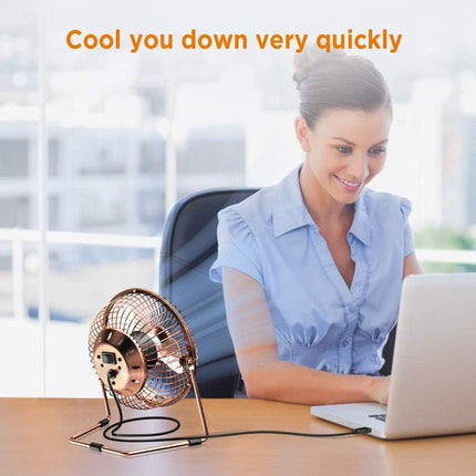 Easyacc 6 Inch Usb Desk Fan, 360°Rotation Small And Quiet,Powerful Portable Strong Airflow,Mini Metal Personal Cooling Fan