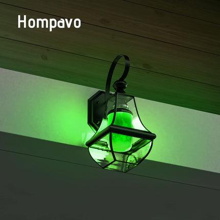 Hompavo 【d】 LED Flame Light Bulbs, Green Flickering Light Bulbs with Upside Down Effect, E26 Flame Bulb for Home Halloween St. Patrick's Day Christmas Decorations Indoor & Outdoor, 2 Pack