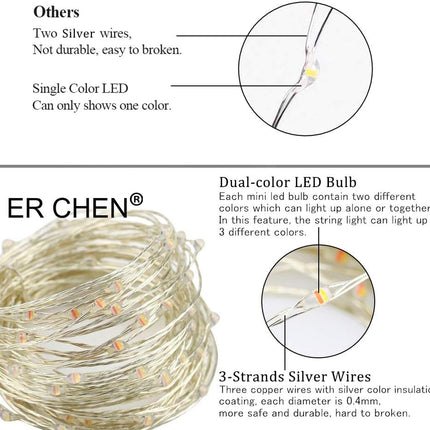 ER CHEN 2 Pack Dimmable USB String Lights, 33ft 100 LED Warm White & Multi-Color Changing Fairy Lights with Remote&Timer, 8 Modes Silver Coated Copper Wire Lights for Bedroom, Patio, Party