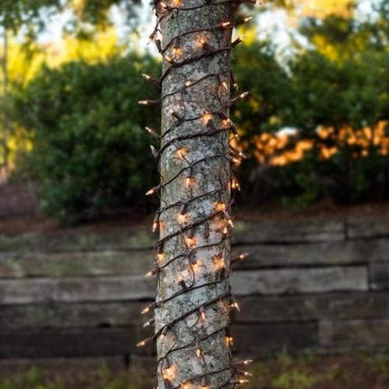 ‎Novelty Lights 34FT 100 Commercial Christmas Lights, Tree Lights Indoor Commercial Grade Incandescent Bulbs With Clear Vintage Filament, Tree Lights Outdoor Mini Lights (Brown Wire)