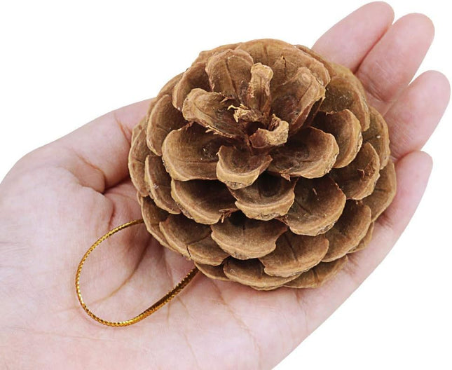 Winlyn 30 Pcs Christmas Hanging Real Preserved Pine Cones Ornaments 2"-3" Tall Christmas Tree Hanging Pinecone Ornaments