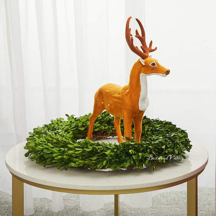 Preserved Boxwood Wreath, Wedding Home Decoration Full Green Real Boxwood Wreath, Indoor Décor for Halloween, Christmas Wreath (Wreath, 10")