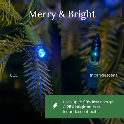 Pro Christmas LED Holiday Lights - 50 Bulbs, 25ft - Professional Grade Indoor Outdoor 5MM Wide Angle Conical Christmas Light Strings for Decorating Home and Outside Trees - 2800K Warm White