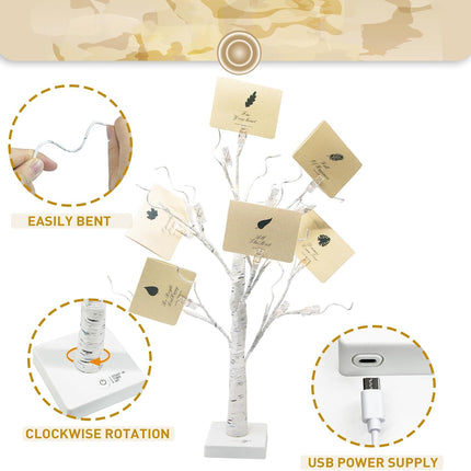 Vanthylit Money Tree Holder Set of 2, 24 LED Warm White Lights Battery Powered Timer, with Clips and Greeting Cards, Holder Decor for Photo Mother's Day Christmas Graduation s
