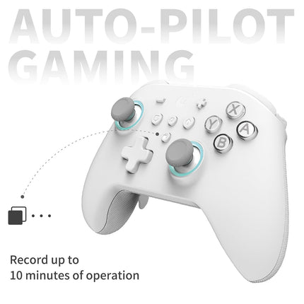 AKNES Guli Kit KK3 MAX Controller, Hall Joysticks&Triggers Controller for Switch/Android/iOS/Steam Deck, 4 Back Buttons, Maglev/Rotor/HD Vibration, Wired/Wiress with 1000Hz Polling Rate for Wins-Grey