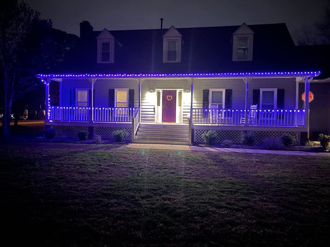 C9 Christmas Lights Blue, 50 LED 33FT Outdoor Hanging Christmas Roofline Lights for Outdoor Patio Decor, Colored, Green Wire,End to End (Blue)