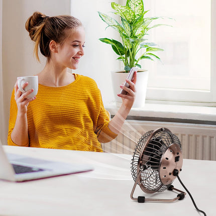 Xasla 4 Inch Small Usb Desk Fan, Mini Quiet Fan With Metal Construction Strong Airflow 360°Adjustable Tilt Angle, Personal Coolin