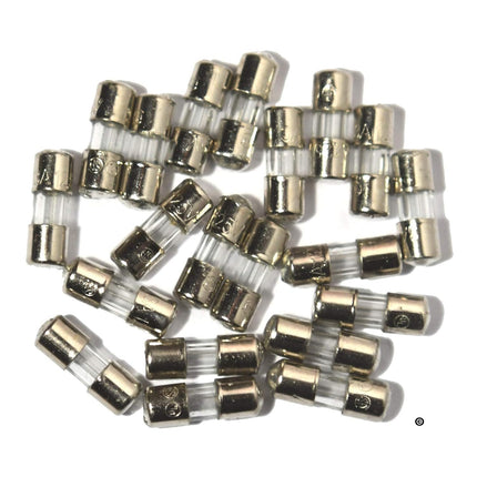 20 Christmas Mini Light Strings Replacement Glass Fuses 3A 3 Amp 110V 125V (20pcs) - size is 3.6 x 10 mm/ 0.14 x 0.39 Inch