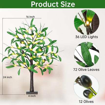 2FT Lighted Olive Tree - 24 Inch Light Up Olive Tree with 36 LED Lights, 12 Fruits, 72 Leaves, Timer Battery Operated Table Top Artificial Lighted Tree for Wedding Party Tabletop Decorations Indoor