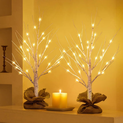Lighted Birch Tree, 2pcs 24in Christmas Tabletop Tree, USB Rechargeable Base with Timer Function, Pre-Lit Artificial Mini Money Birch Tree for Home Centerpiece Fireplace Party Decor