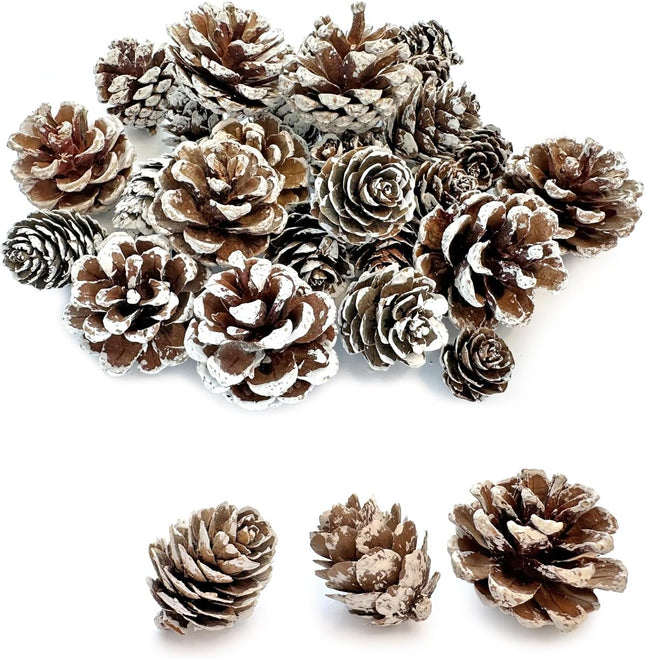 30PCS Christmas Pine Cones, Natural Snow Pinecones Ornaments, Pine Cones for Christmas Tree, Tag, Garland, Wreaths, Pine Cones Decorations for Fall, Xmas DIY Crafts Home Decorations