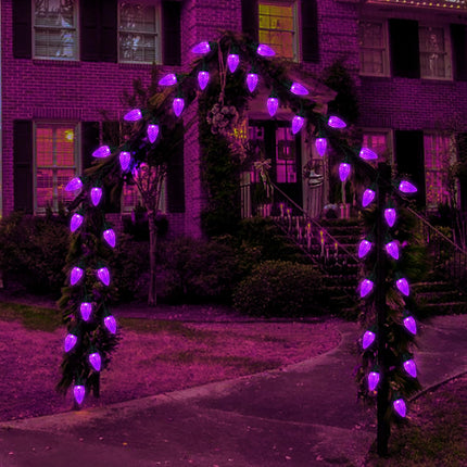 C9 Christmas Lights Outdoor Christmas Decorations,31Ft 50 LED Purple Christmas Lights Outdoor Waterproof, 8 Modes Purple Lights for Halloween Christmas Yard Patio Party Decor