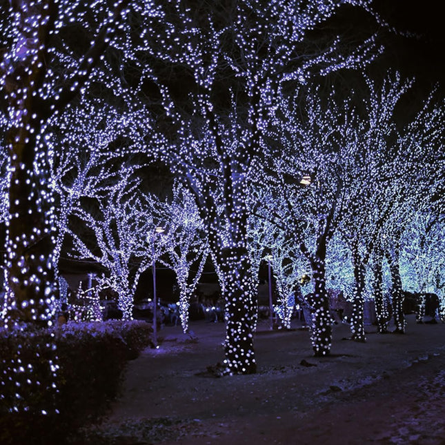 163ft 600 LED Cool White Christmas String Lights - Twinkle Lights for Indoor and Outdoor Tree Decorations, Bedroom and Living Room Ambiance Lighting, Holiday Party Decor