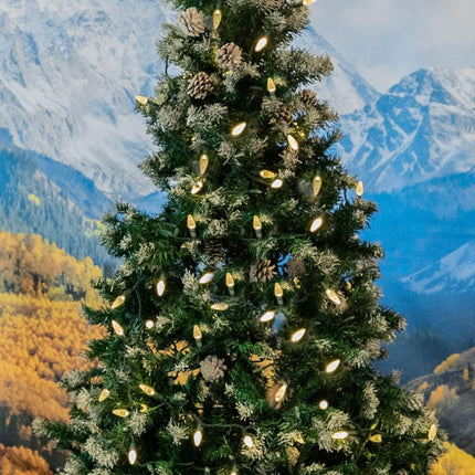 ‎‎‎Novelty Lights 50FT 100 LED C6 LED Christmas String Lights, Outdoor Christmas Tree Commercial Grade LED String Lights, Permanent Christmas Lights Outdoor Tree Decorations Outdoor (Warm White)