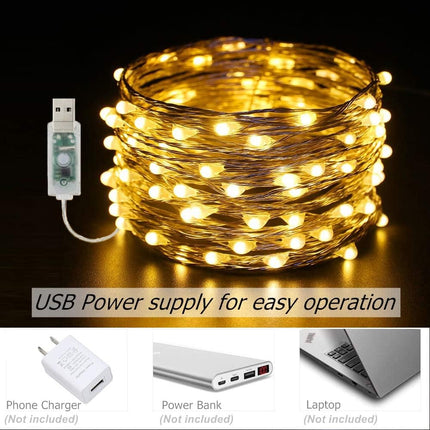 ER CHEN 2 Pack Dimmable USB String Lights, 33ft 100 LED Warm White & Multi-Color Changing Fairy Lights with Remote&Timer, 8 Modes Silver Coated Copper Wire Lights for Bedroom, Patio, Party