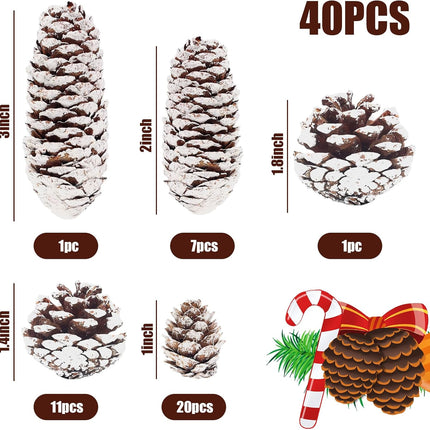 DomeStar 40PCS Snow Pine Cones for Crafts, Natural Pine Cones Christmas Pine Cone Ornaments for Xmas Tree Wreath Winter Holiday Hanging Ornaments