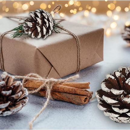 24 PCS Pine Cones for Christmas Tree Snowflake Natural Pinecones Ornament with String Pendant Crafts for Xmas Party Home Decor Fall Winter Holiday Christmas Tree Decoration (24)