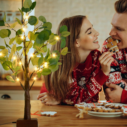 Bexdir Lighted Tabletop Eucalyptus Tree with Timer, 24.8IN 42 LED Bonsai Tree Light, Battery & USB Powered Tree Table Light, Night Light, Artificial Plant for Home Spring Christmas Party Wedding Decor